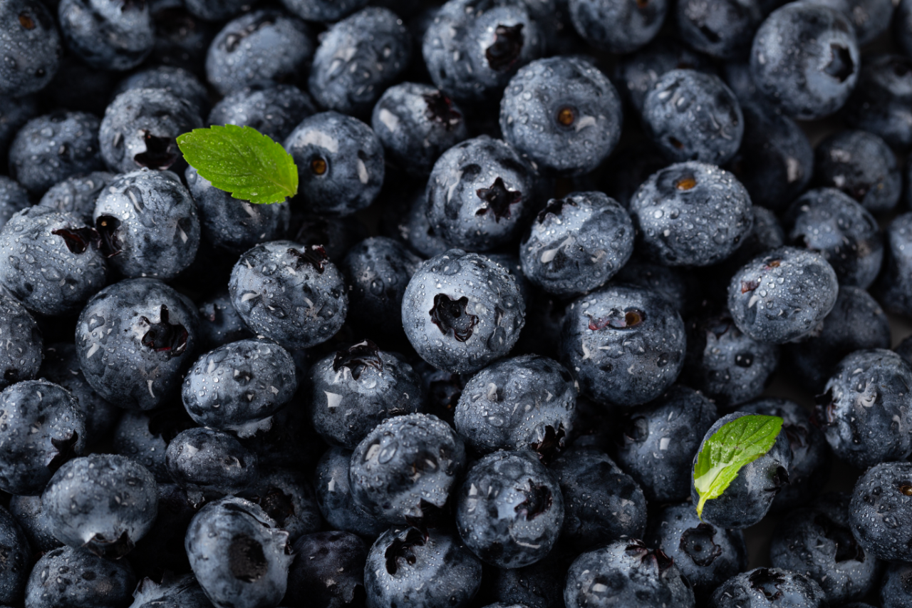 Truly Wild Blueberries Offer Superior Health Benefits