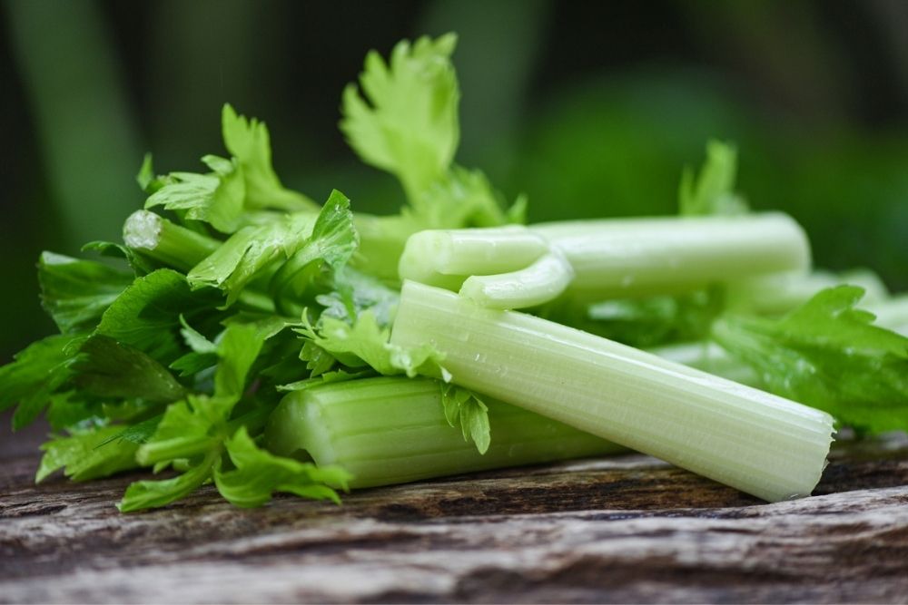Celery Brings a Crisp, Strong Flavor to Meals