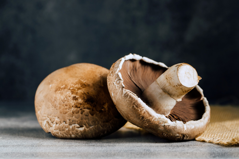 Portobello Mushroom: Nutrient Powerhouse