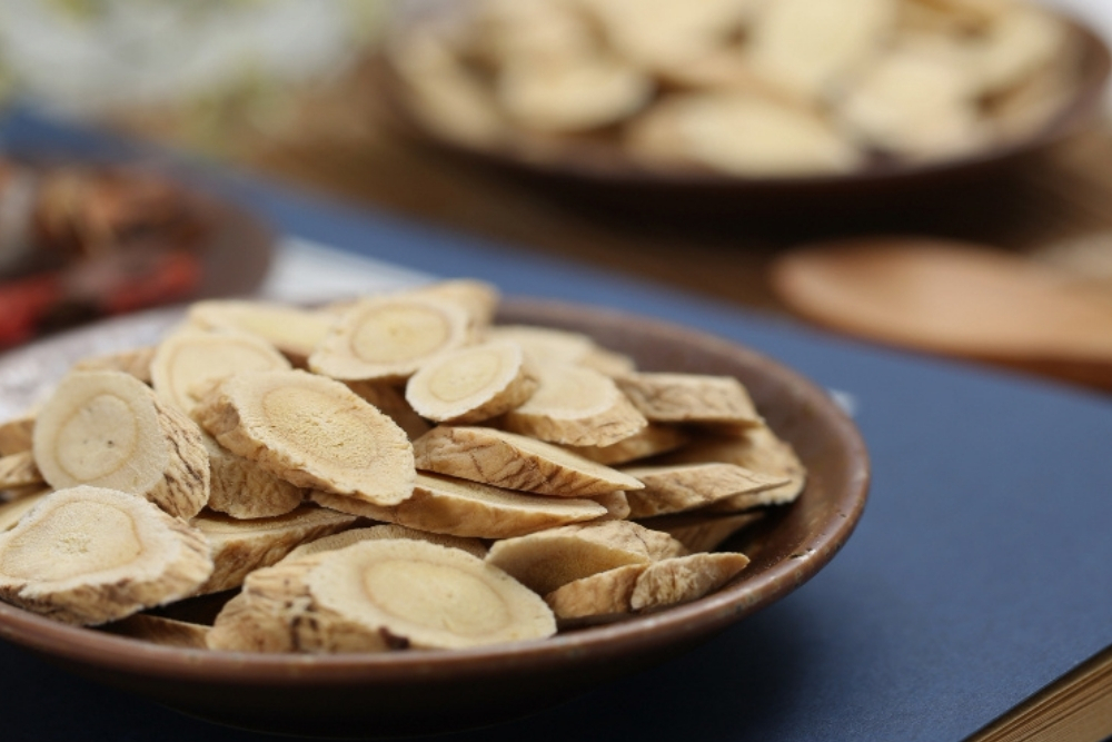 Astragalus Root for Strengthening Immunity