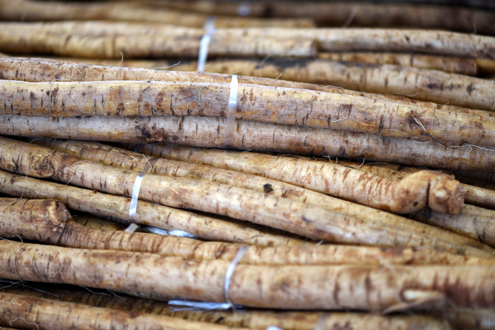 Help Keep Your Skin in Balance with Burdock Root
