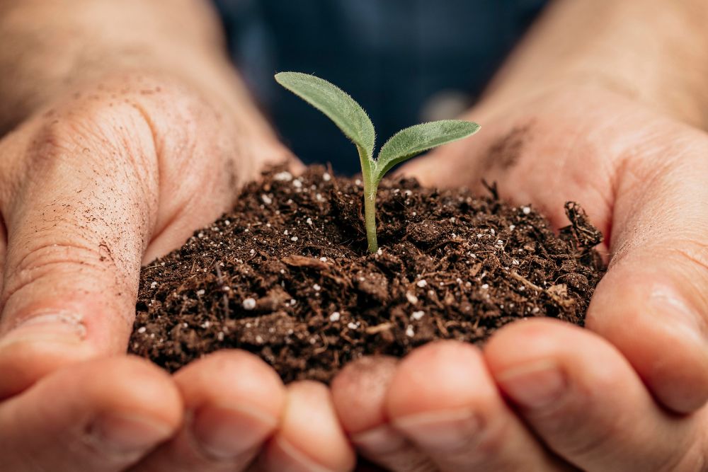 Herbal Health From the Ground Up