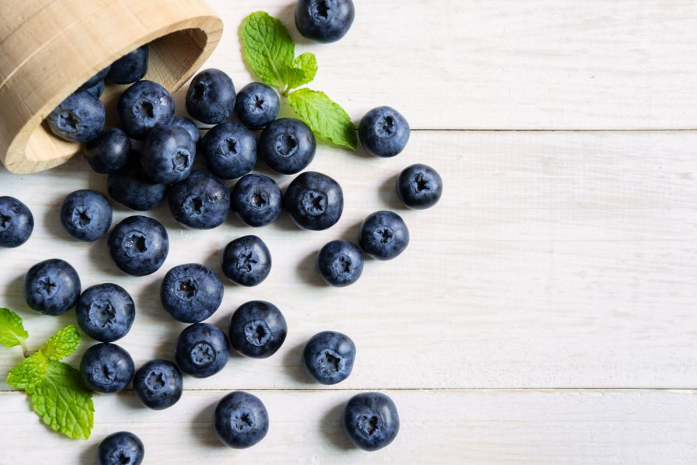 Bilberries: Herbal Remedy Rich in Antioxidants