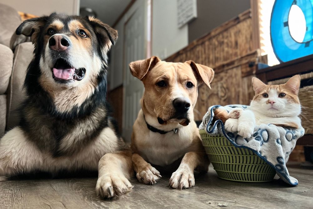 Benefits of Volunteering