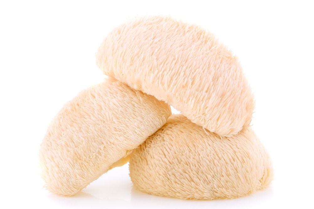 Grow Your Brain With Lion’s Mane