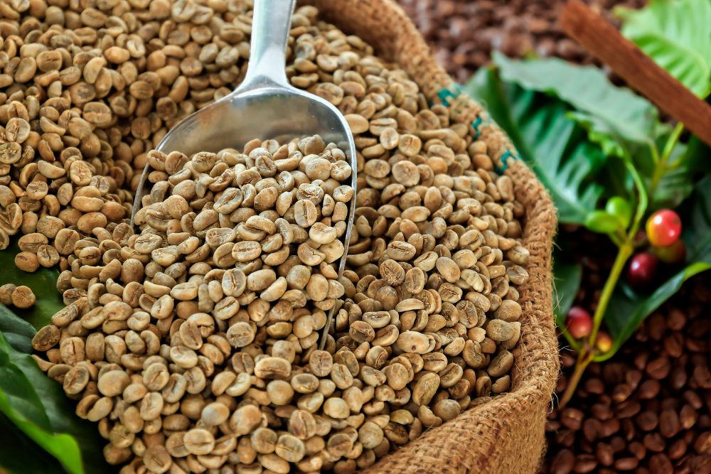 Benefits of Green Coffee Beans
