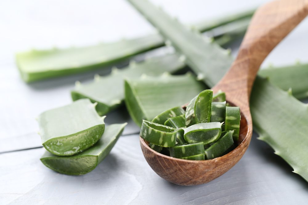 Elevate Your Skin with Aloe Vera