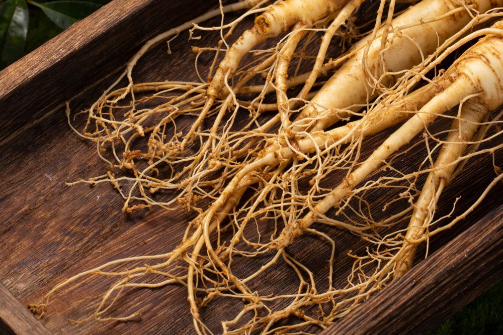Panax Ginseng for Lung Health